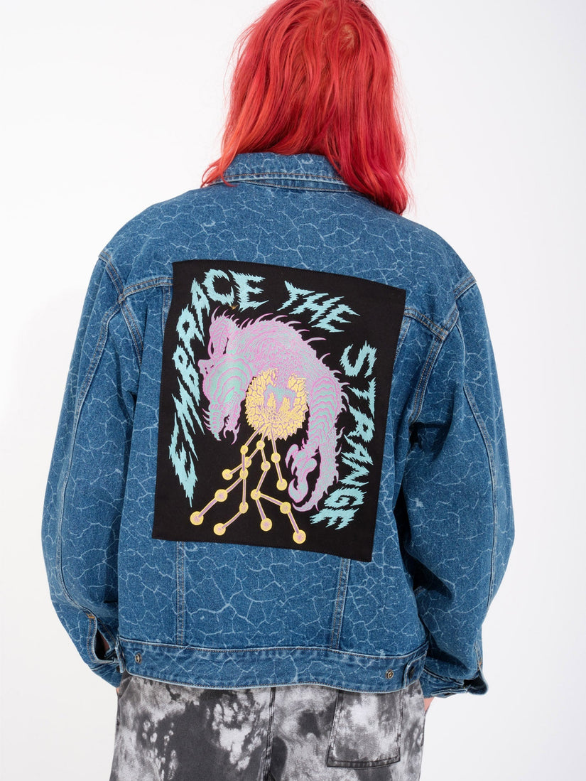 FA TETSUNORI DENIM JACKET (A2112400_LZR) [F]